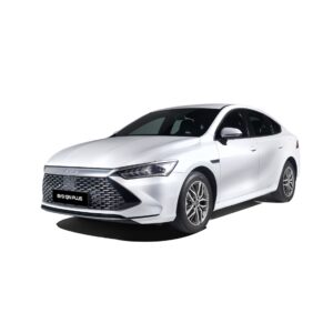 QIN PLUS DMi CHAMPION EDITION